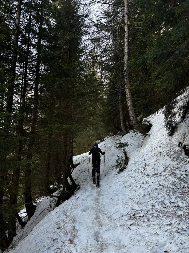 Sentiero innevato nel bosco