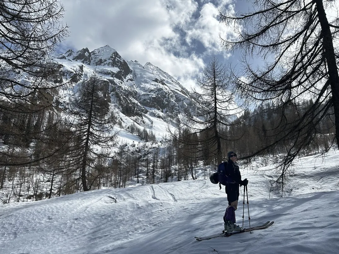 Scialpinista in un bosco innevato